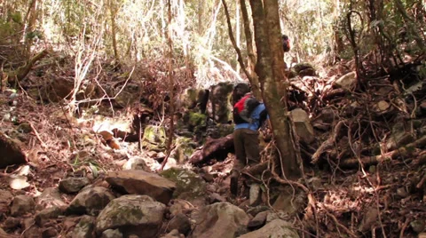 Treacherous hike through forest 库存影片 28500316