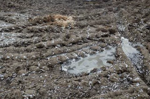 Tread Pattern Tire Frozen Ground Stock Photos