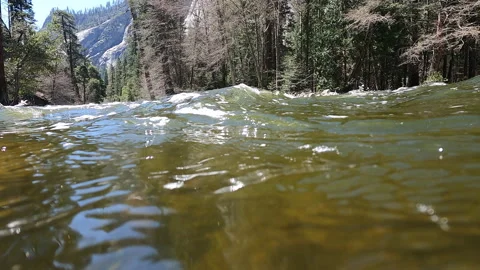 Treading Water in a River Stock Footage 186181378