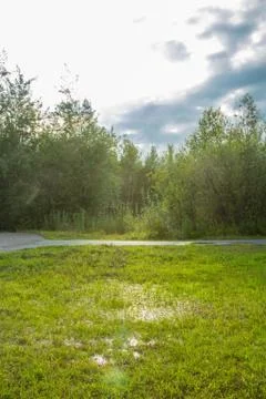 Treadmill 스톡 사진