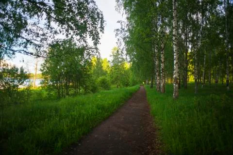 Treadmill at sunset in the summer Stock Photos
