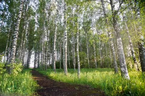 Treadmill at sunset in the summer Stock Photos