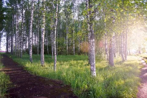 Treadmill at sunset in the summer Stock Photos