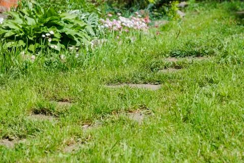 Treadmill at sunset in the summer Stock Photos