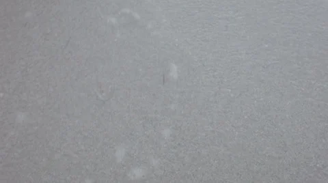 Treasure on the beach Stock Footage 30462470