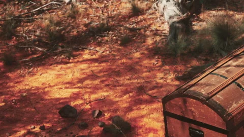 Treasure chest found in a forest area surrounded by rocks and plants Stock Footage 344403566
