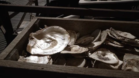 Treasure chest with open pearl shells, pan, 4K UHD Stock Footage 91581038