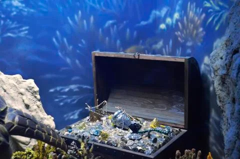 Treasure Chest Stock Photos