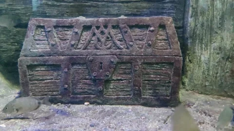 Treasure chest on sunken ship Stock Footage 253432130