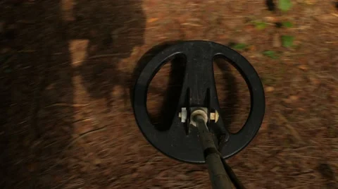 Treasure hunter Stock Footage 67228364