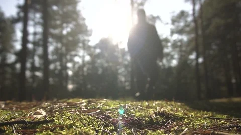 Treasure Hunter Searching For Old Objects Using Metal Detector In Forest Stock-Footage 125994168