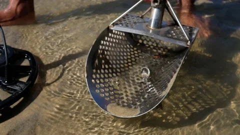 Treasure Hunter use Metal Detector to find valuable items buried in the sand Stock Footage 145530922