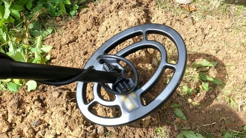 Treasure Hunters Using Metal Detector and Gloves Video stock 95274745