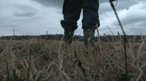 Treasure Hunting Stock Footage 738508