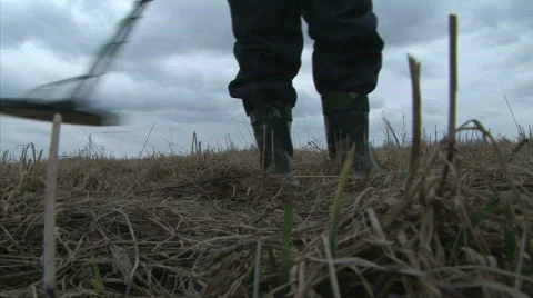 Treasure Hunting Stock Footage 738513