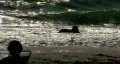 Treasure Island Beach HD Footage