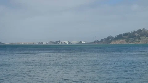 Treasure Island SF Bay 9184 스톡 동영상 94155853