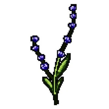 Treasure lavender pixel art vector illustration Stock Illustration