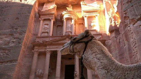 Treasure palace, Petra Stock Footage 83611908