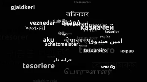 Treasurer Translated in 46 Worldwide Languages Endless Looping 3d Zooming Wor Video stock 145231250