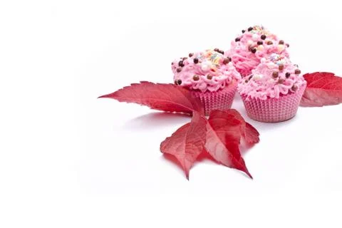 Treat Stock Photos