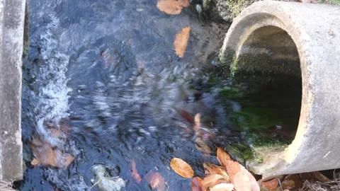Treated wastewater effluent flowing out from a concrete drainage outlet tunnel. Stock Footage 274105324