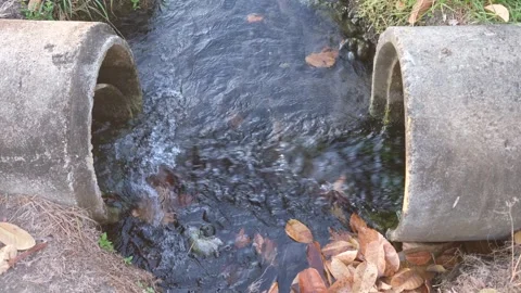Treated wastewater effluent flowing out from a concrete drainage outlet tunnel. Stock Footage 274105537