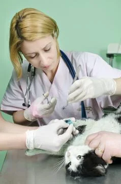 Treatment Stock Photos