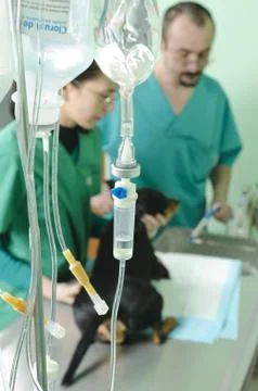 Treatment Stock Photos