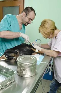 Treatment Stock Photos