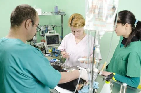 Treatment Stock Photos