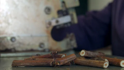 Treatment of vines. Stock Footage 87558424