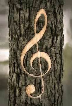 Treble clef carved into the bark of a tree Stock Illustration