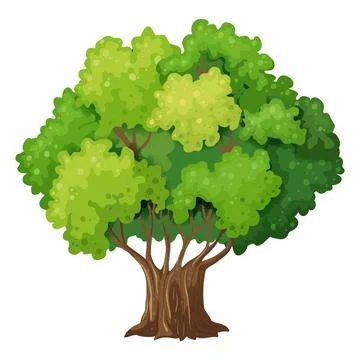 Tree 10 Stock Illustration