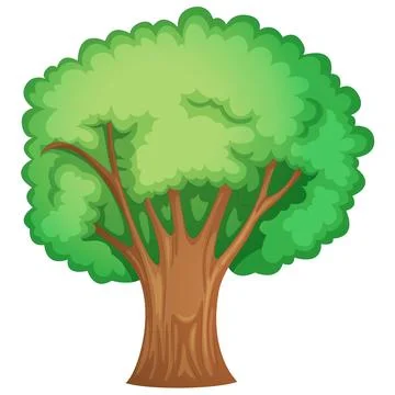 Tree 11 Stock Illustration