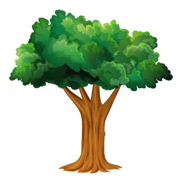 Tree 14 Stock Illustration