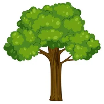 Tree 15 Illustrazione stock