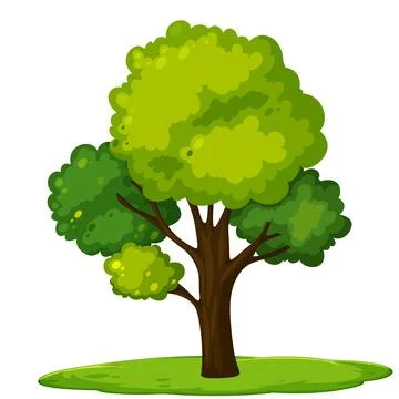 Tree 16 Stock Illustration