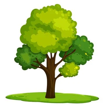 Tree 17 Stock Illustration