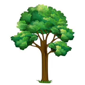 Tree 19 Stock Illustration