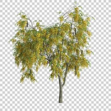 Tree 29 up 59 Illustrazione stock