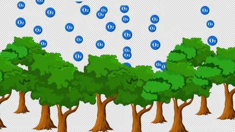 Tree 3 Stock Footage 307297688