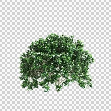 Tree 32 up 59 Stock Illustration