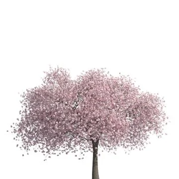 Tree 3d illustration isolated on the white background Stock Illustration