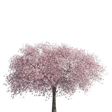 Tree 3d illustration isolated on the white background Stock Illustration