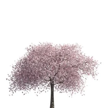 Tree 3d illustration isolated on the white background Stock Illustration