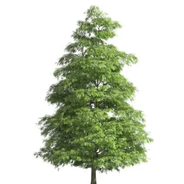 Tree 3d illustration isolated on the white background Stock Illustration
