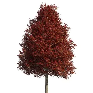 Tree 3d illustration isolated on the white background Stock Illustration