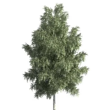 Tree 3d illustration isolated on the white background Stock Illustration