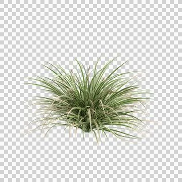 Tree 47 up 55 Stock Illustration